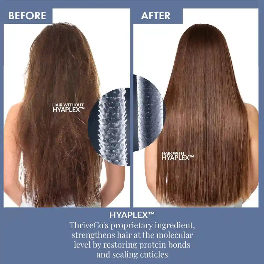 Winter Essential Kit