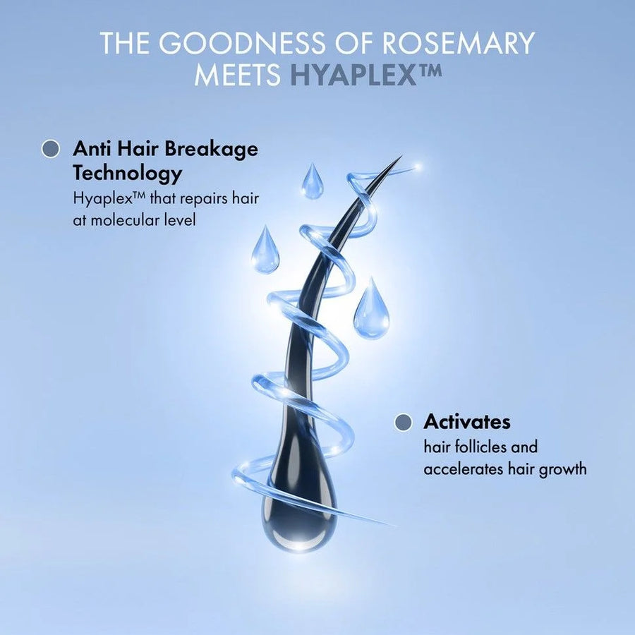 Rosemary Shampoo (250ml) + Rosemary Conditioner Combo (250ml)