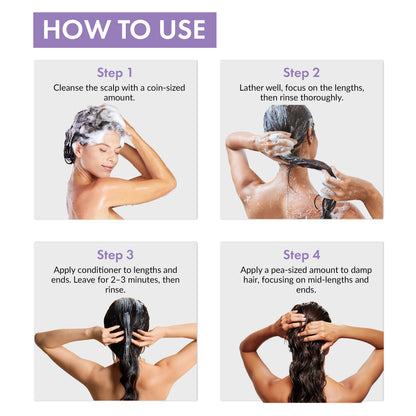 special_TC000151--TC000151V3--TC000151V6--TC000151V12