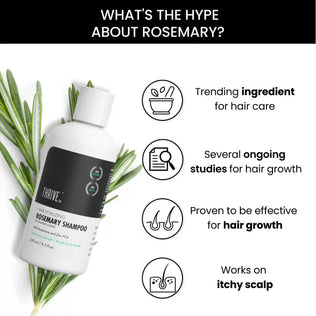 best hair shampoo for hair growth enriched with rosemary