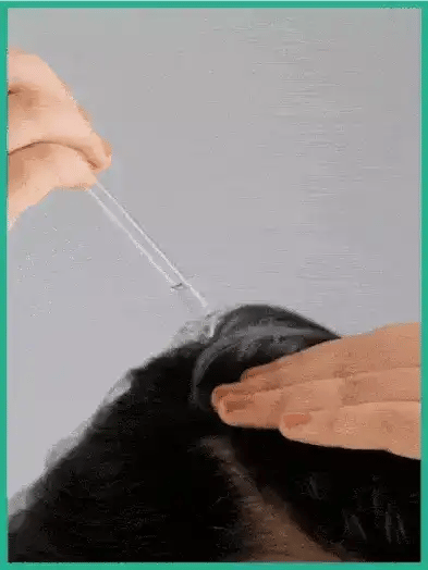 How to Use (4).webp__PID:10169d28-b914-452b-9860-a6b3b5389483