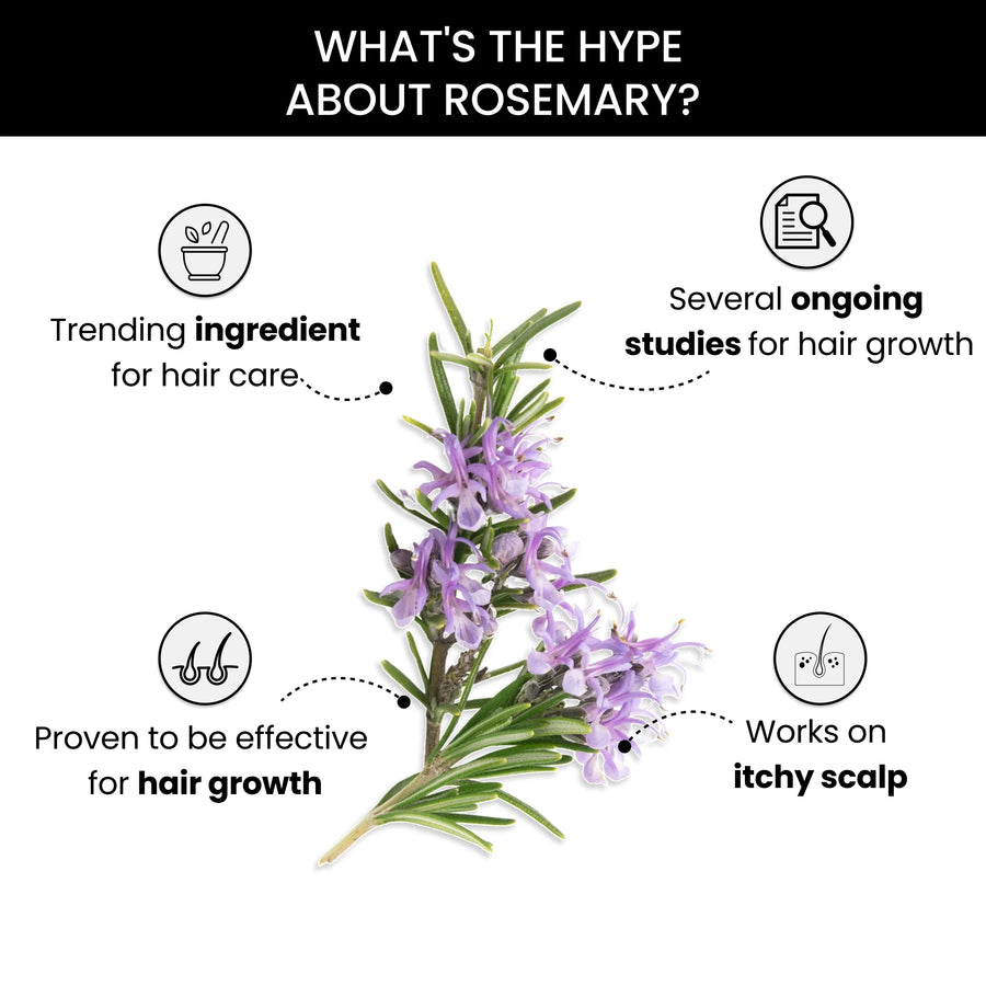 ThriveCo’s Rosemary Oil with Best Ingredients
