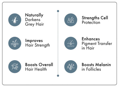 Benefits infographic for ThriveCo Anti-Grey Hair Prime Serum showing naturally darkens grey hair, strengthens cell protection, improves hair strength, enhances pigment transfer in hair, boosts overall hair health, and boosts melanin in follicles.