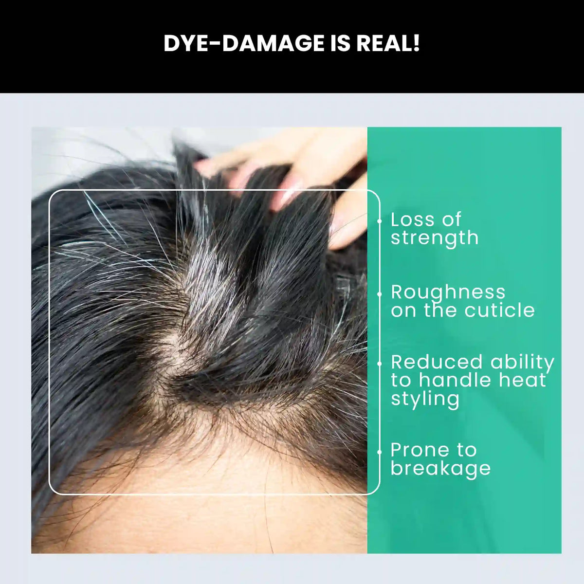 Color Buddy ThriveCo Color Buddy: Dye-Damage Reversing Color Companion