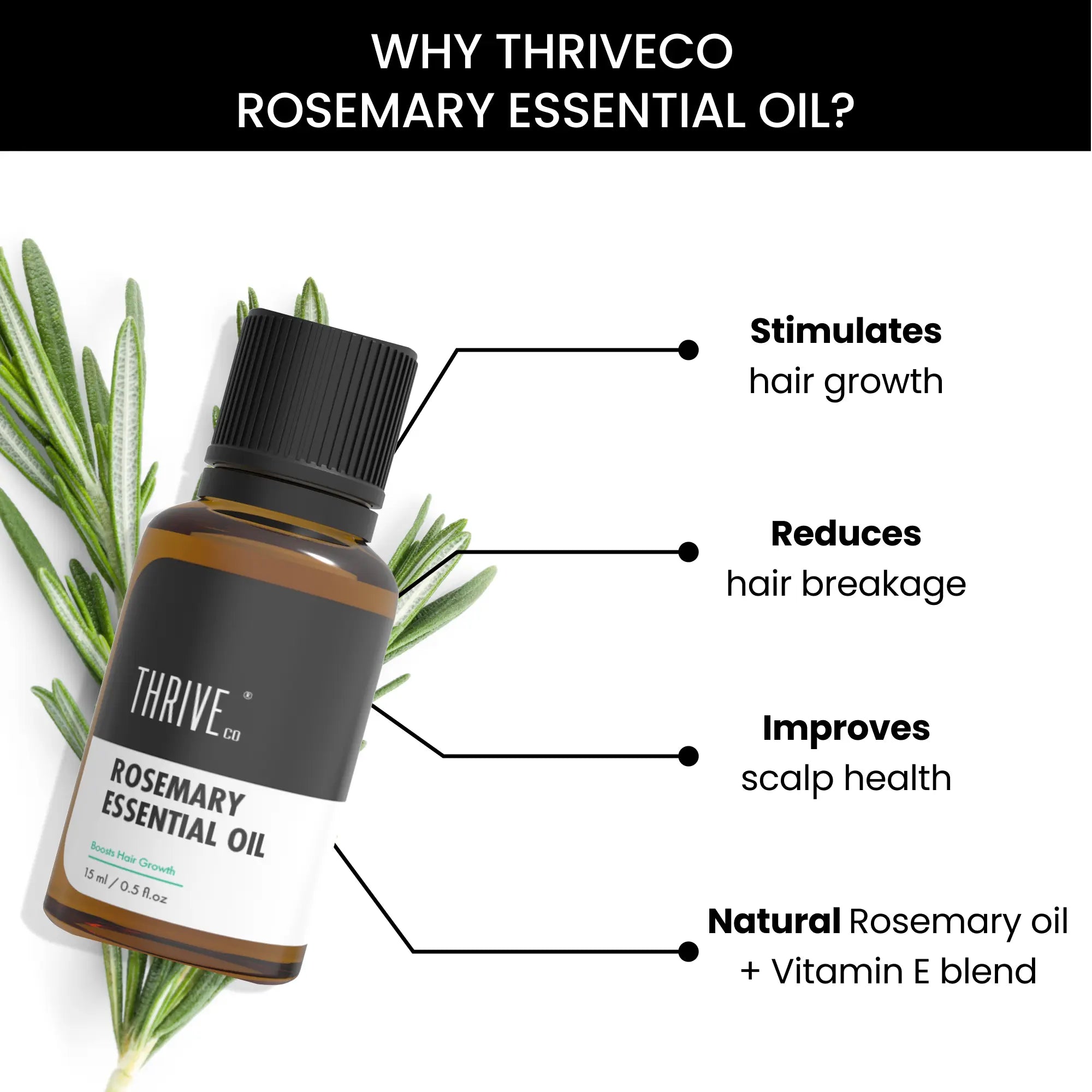 100 Pure Rosemary Essential Oil For Hair Growth ThriveCo